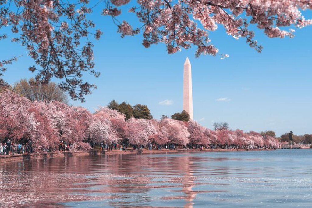Washington, DC, USA.